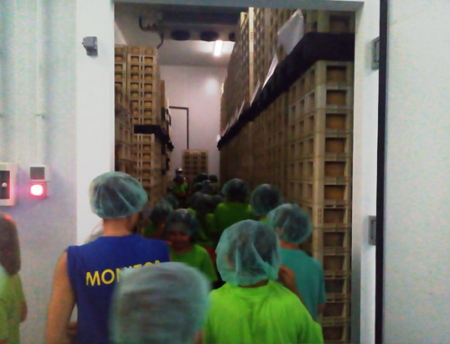 Recibimos a los niños del Campamento Urbano de Verano del CID